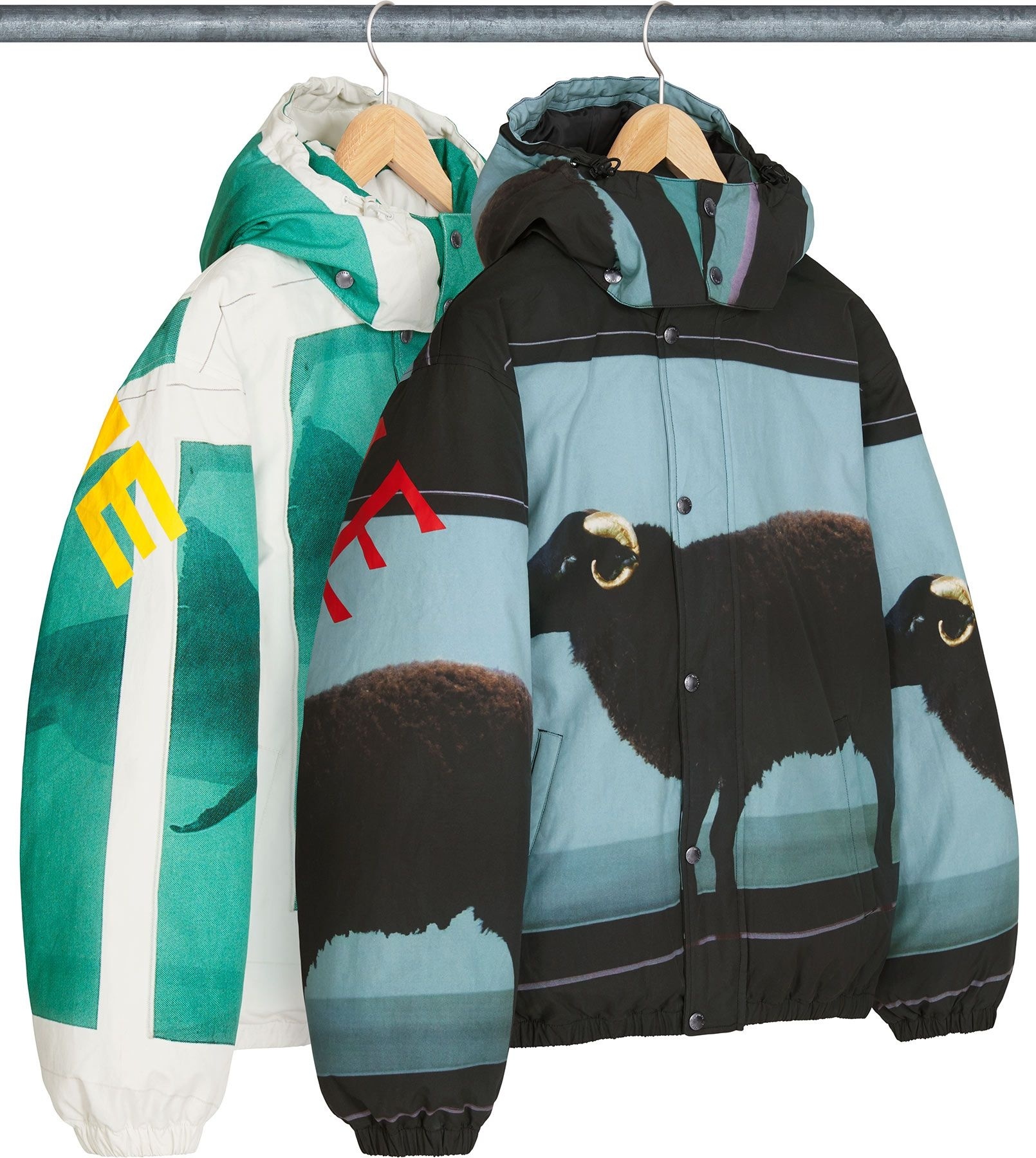 Supreme/Damien Hirst Down Puffer Jacket view 17